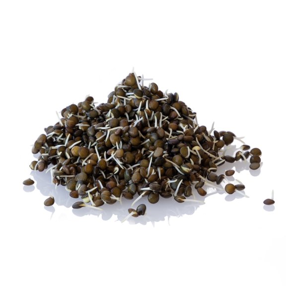 Organic Black Lentil Sprouting Seeds Bulk Storage Can- 5 Lb ~48K Seeds - Grow Non-GMO Sprouts - Delicious & Healthy Living, Raw Food