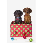Design Pics DPI2024304 Two Dachshund Puppies Inside A Polka Dot Christmas Gift Box Poster Print, 12 x 19
