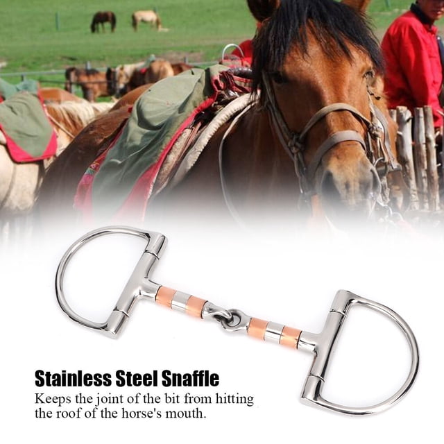 Filete de acero inoxidable broca en forma de D de acero inoxidable accesorios para herramientas para caballos Broca en forma de D de acero inoxidable para caballo ANGGREK Otros