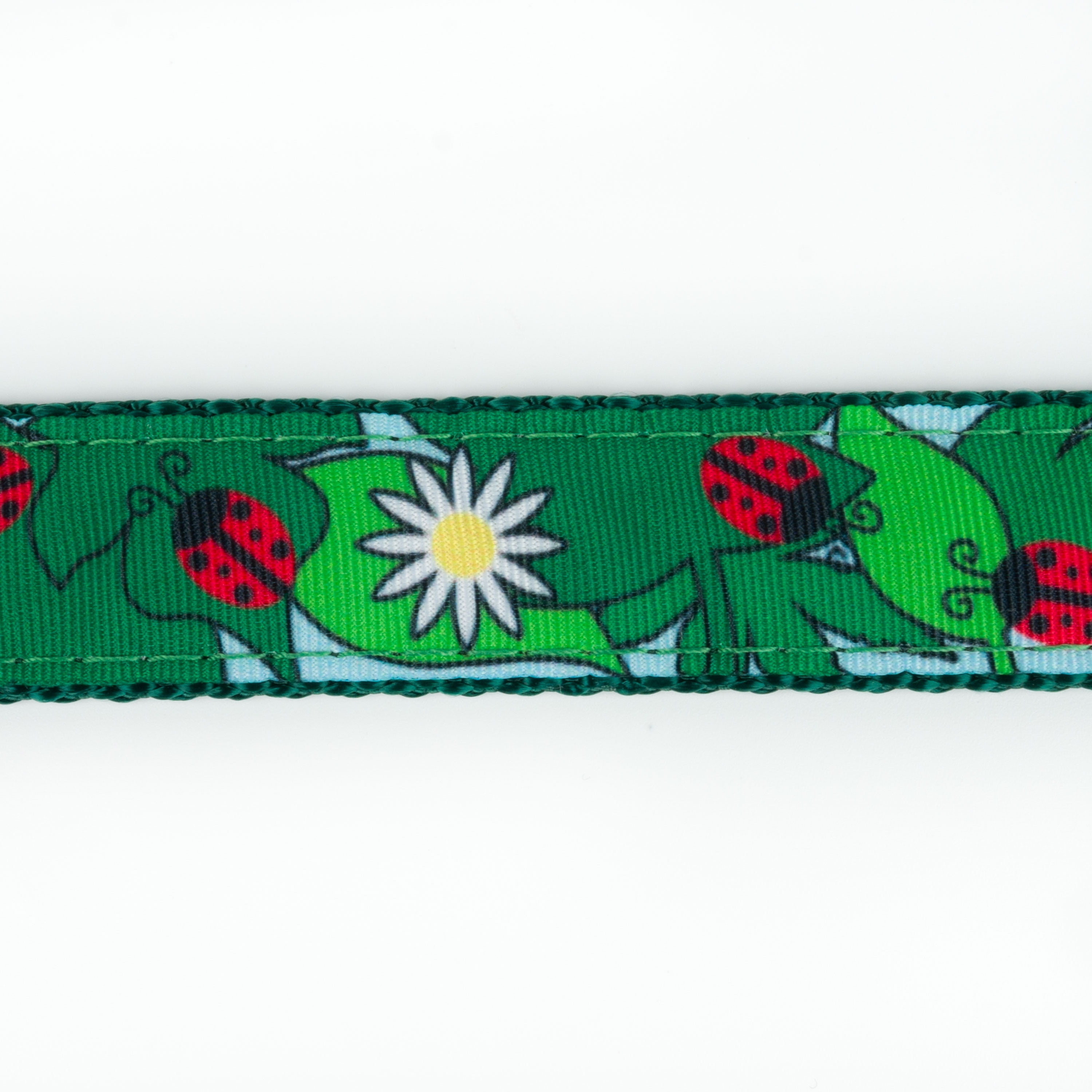 Country Brook Design - Ladybugs Picnic Ribbon on Green Nylon Webbing (1 Inch, 10 Yards)