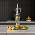 thumbnail image 2 of Manual Juice Press, 2 of 9