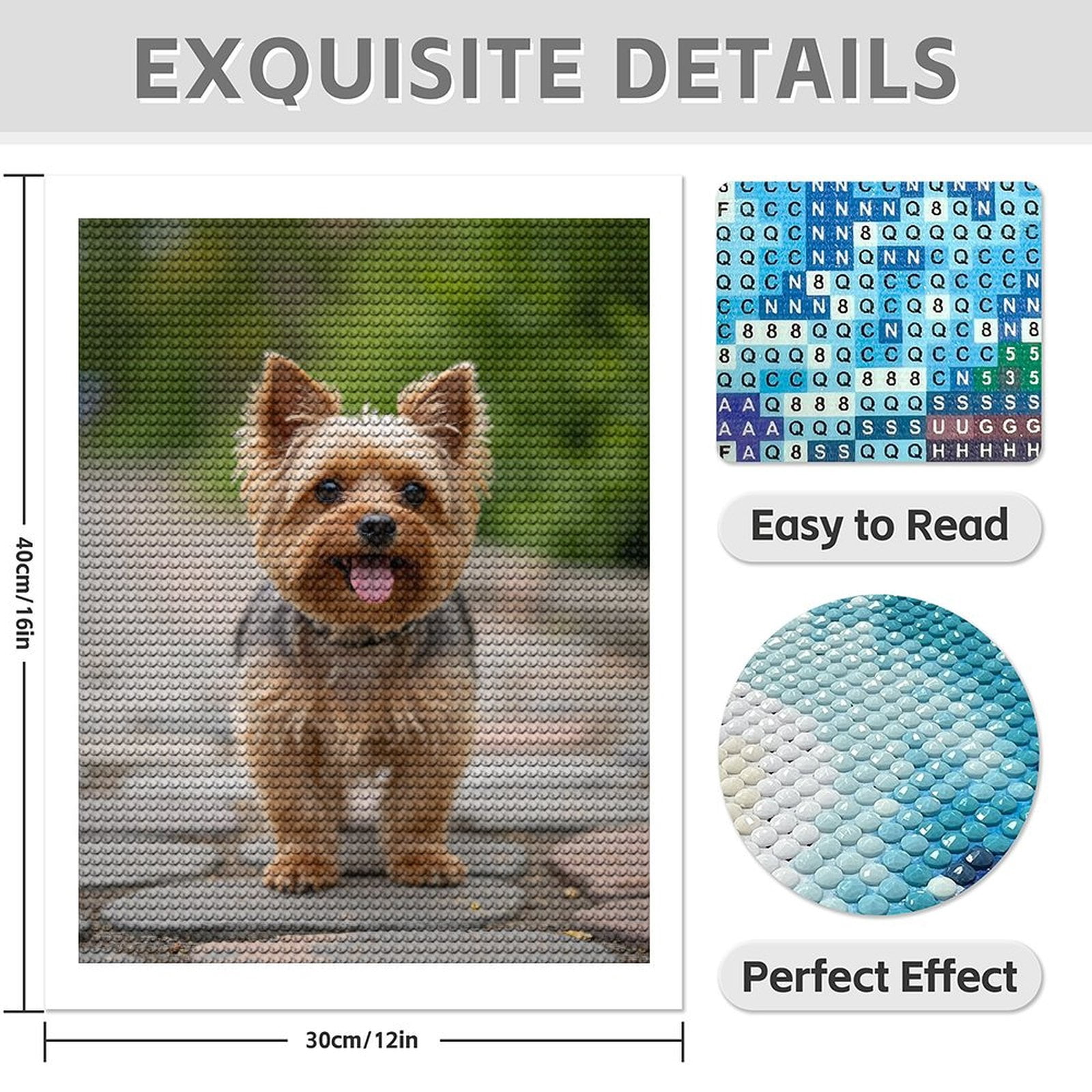 Diamond Art Kits for Adults - 5d Adorable Yorkie Dog Walking Path Diamond Painting for Adults, Diamond Art for Adults Beginners, Diamond Painting Kits for Adults for Home Wall Decor