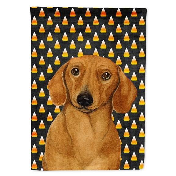 Carolines Treasures LH9053-FLAG-PARENT Dachshund Candy Corn Halloween Portrait Flag  multicolor