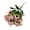 E#20🍉, variant on Halons Artificial Flower Branches - Faux Flower Stems, Realistic Silk for Garden Centerpiece Decor & Wedding Table Runner Flower Arrangements, Maintenance-Free (28in, 6-Pack)