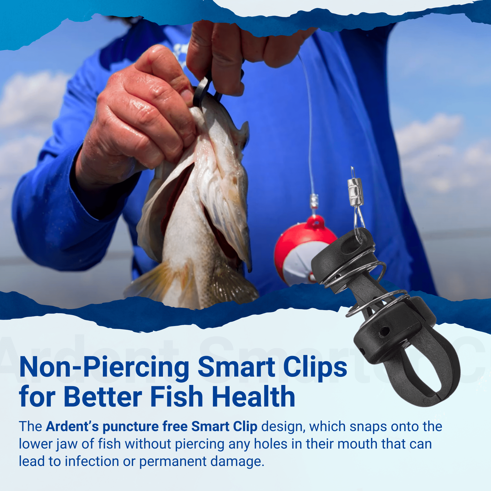 Ardent Smarter Cull, 6-Ball 2-Stage Culling Balls with Smart Clips, Quick and Easy to Use, Reduce Fish Stress and Injury, Bass Fishing Accessories and Supplies