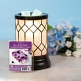thumbnail image 4 of (5 pack) Blueberry Marshmallow Scented Wax Melts, ScentSationals, 2.5 oz, 4 of 9