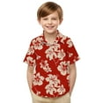 thumbnail image 7 of OGLCCG Boys Hawaiian Shirts Short Sleeve Summer Beach Button Down Aloha Luau Shirts for Kids Casual Tropical Shirt with Pocket 2-15 Years, 7 of 7