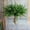 green, variant on BeesClover 7” Artificial Boston Fern Plant