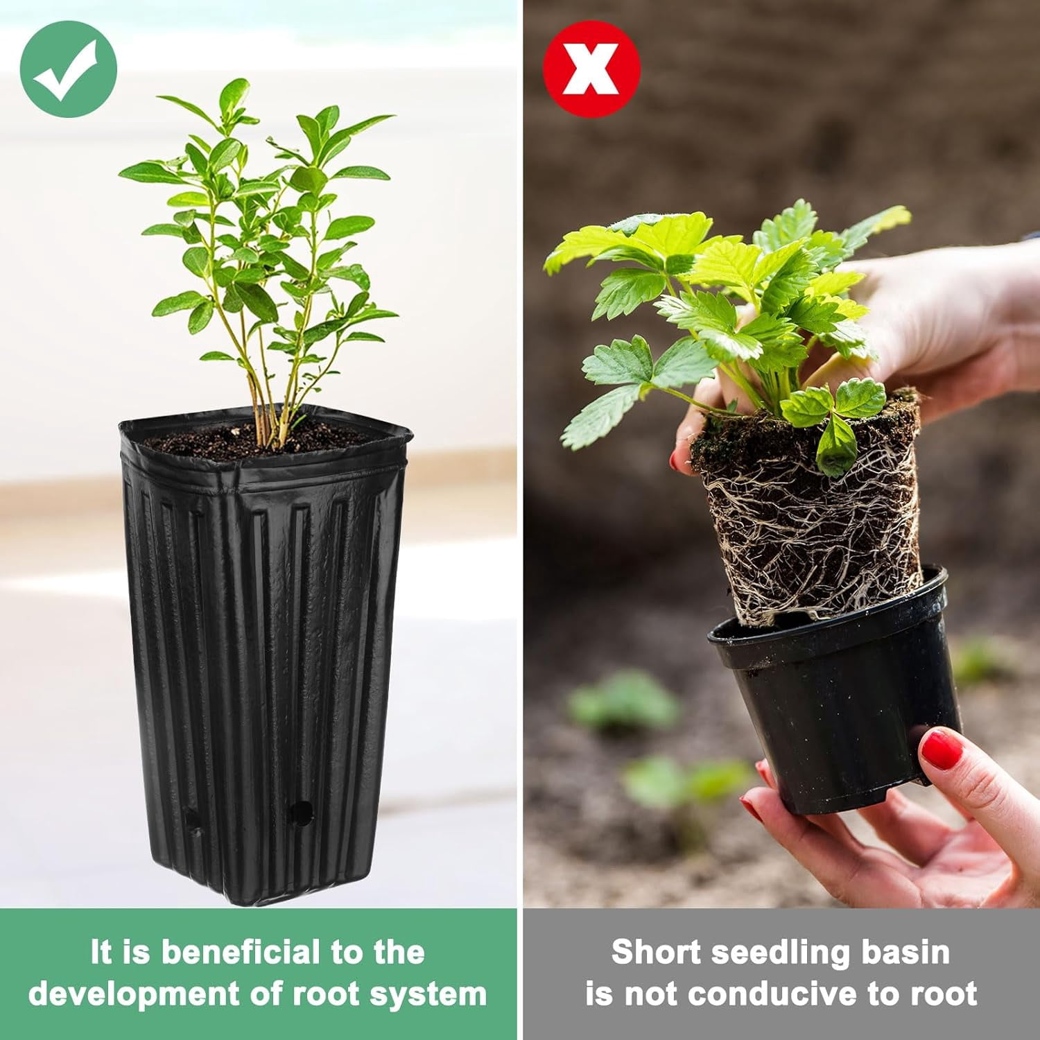 100-Pack Plant Nursery Pots, 4.72x4.72x9.84 Inch Plastic Deep Growing Pots Succulent Planter Flower Tree pots with Drainage Holes for Indoor Outdoor Gardening [Black] -