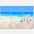 thumbnail image 2 of Seashells on Seashore - Beach Photography Canvas Art Print, 2 of 3