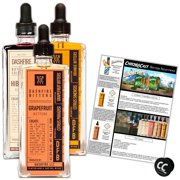 Dashfire Bitters for the Perfect Martini Cocktail, 3pk- Orange, Grapefuit, and Hibiscus, 100ml./btls.