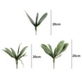 thumbnail image 3 of Yesbay Simulation Leaves Non-Wilting Fake Phalaenopsis Orchid Leaves, 3 of 8