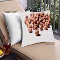 thumbnail image 1 of Ahgly Company Foods Nuts Coussin d'Extérieur, 18 Pouces par 18 Pouces, 1 of 6
