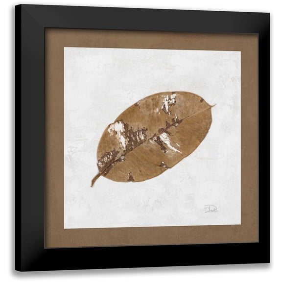 Pinto, Patricia 12x12 Black Modern Framed Museum Art Print Titled - Beauty of Simplicity III
