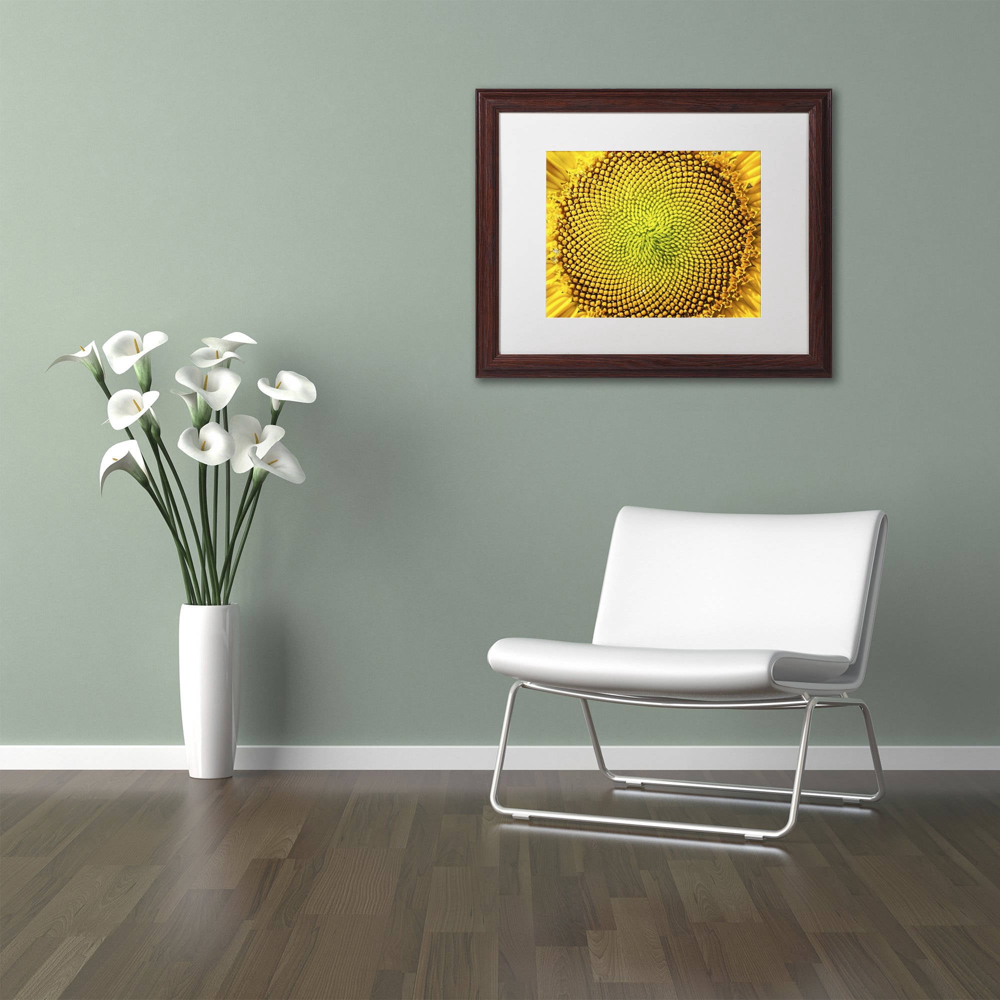 Trademark Fine Art "Cosmic Patterns in Nature" Canvas Art by Kurt Shaffer, White Matte, Wood Frame