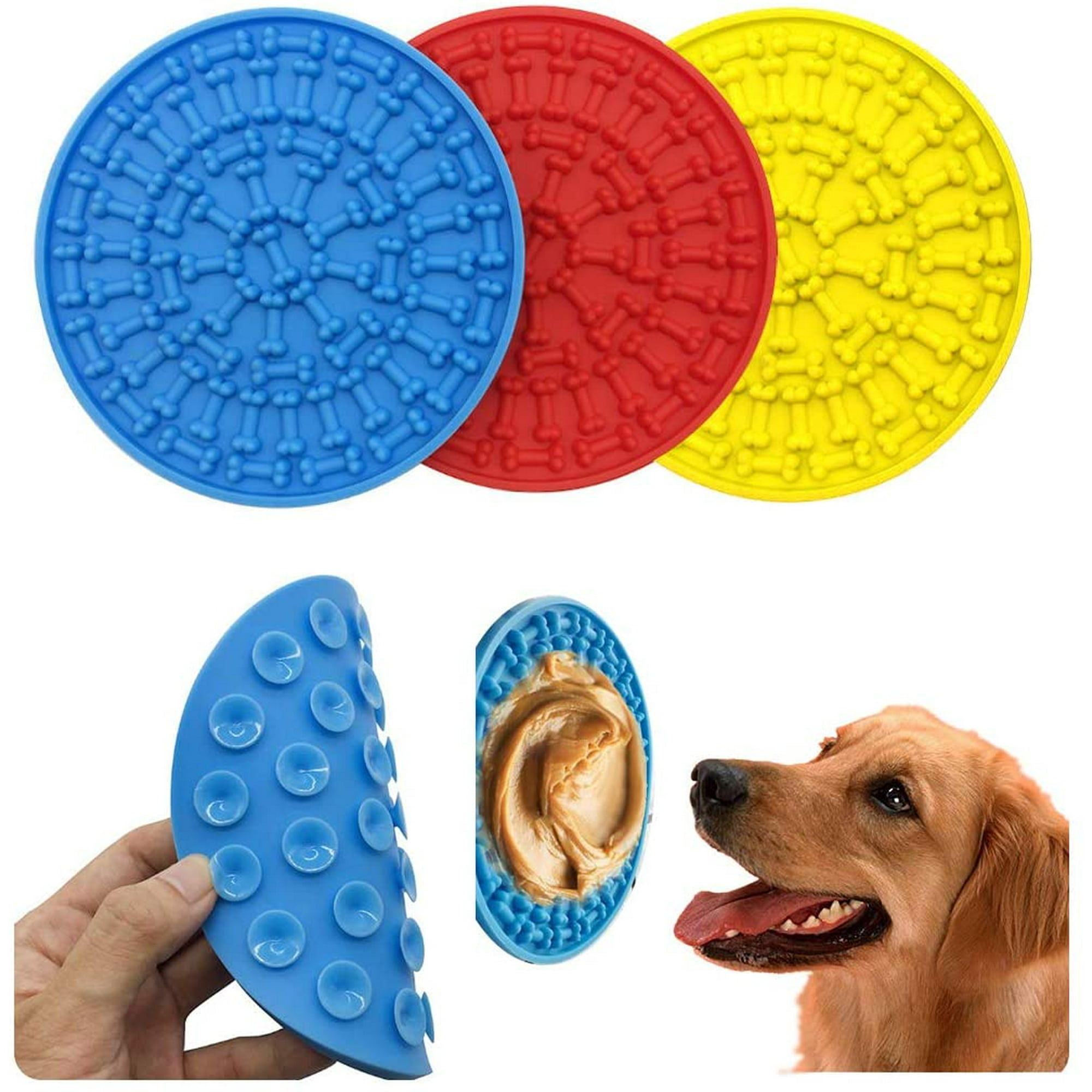 Why Does My Dog Lick The Wall