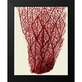 thumbnail image 2 of Fab Funky 15x18 Black Modern Framed Museum Art Print Titled - Red Corals 2 f, 2 of 5