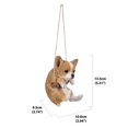 thumbnail image 5 of Chihuahua Puppy Suspendu, 5 of 5