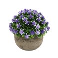 thumbnail image 2 of Fiudx Planta Artificial En Maceta En Liquidación - Pequeña Planta Verde de Plástico de 14 Cm para Decoración de Hogar, Oficina y Hotel - Planta Artificial Realista para Mesa, Escritorio y Alféizar -, 2 of 6