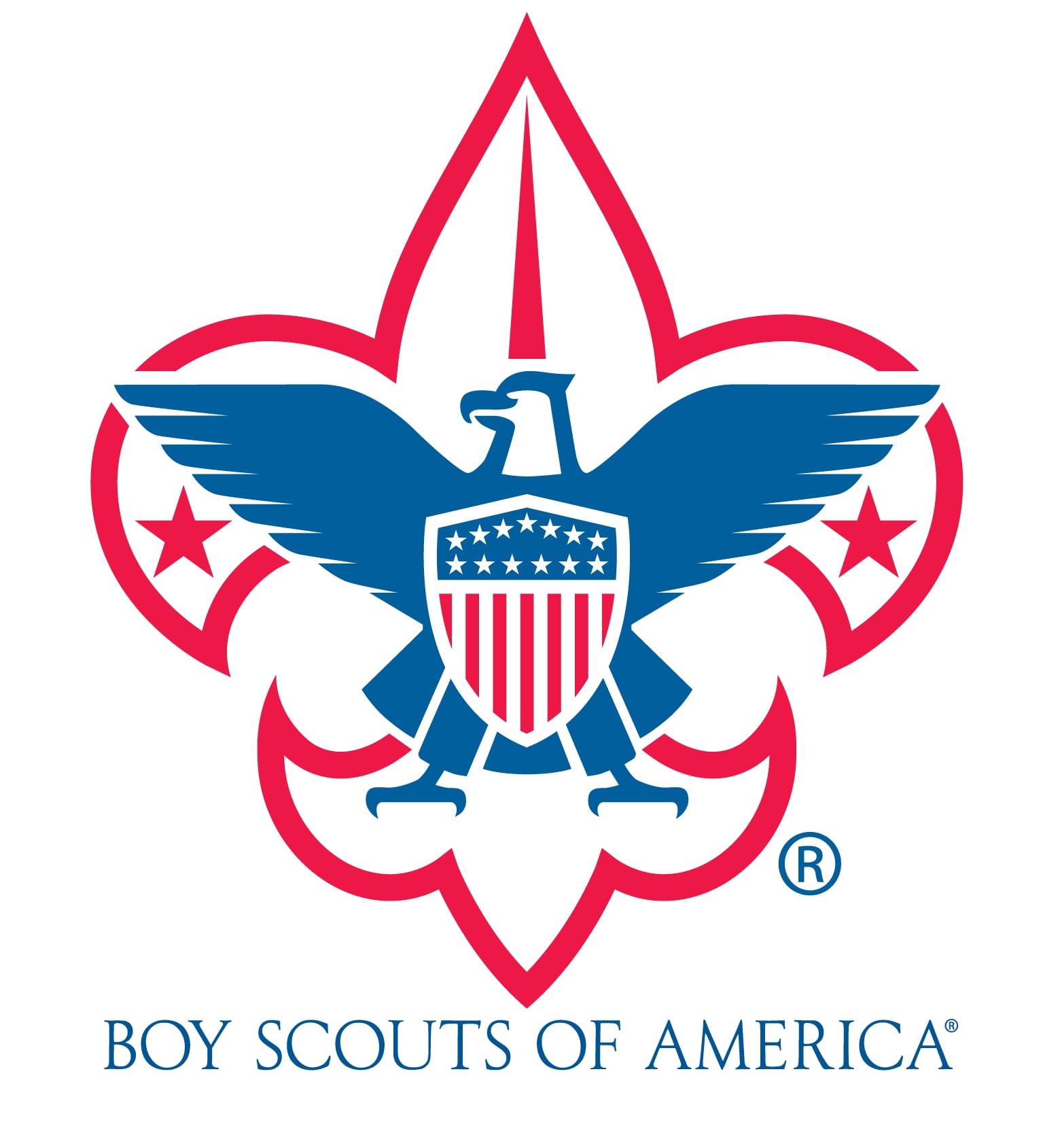 Boy Scout Emblem Edible Cake Image Topper 1/4 sheet ABPID04087 - Walmart.com