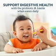 thumbnail image 4 of Gerber Cereal 3rd Foods Probiotic Lentil Carrot Apple Oatmeal Baby Cereal, 8 oz Canister, 4 of 6