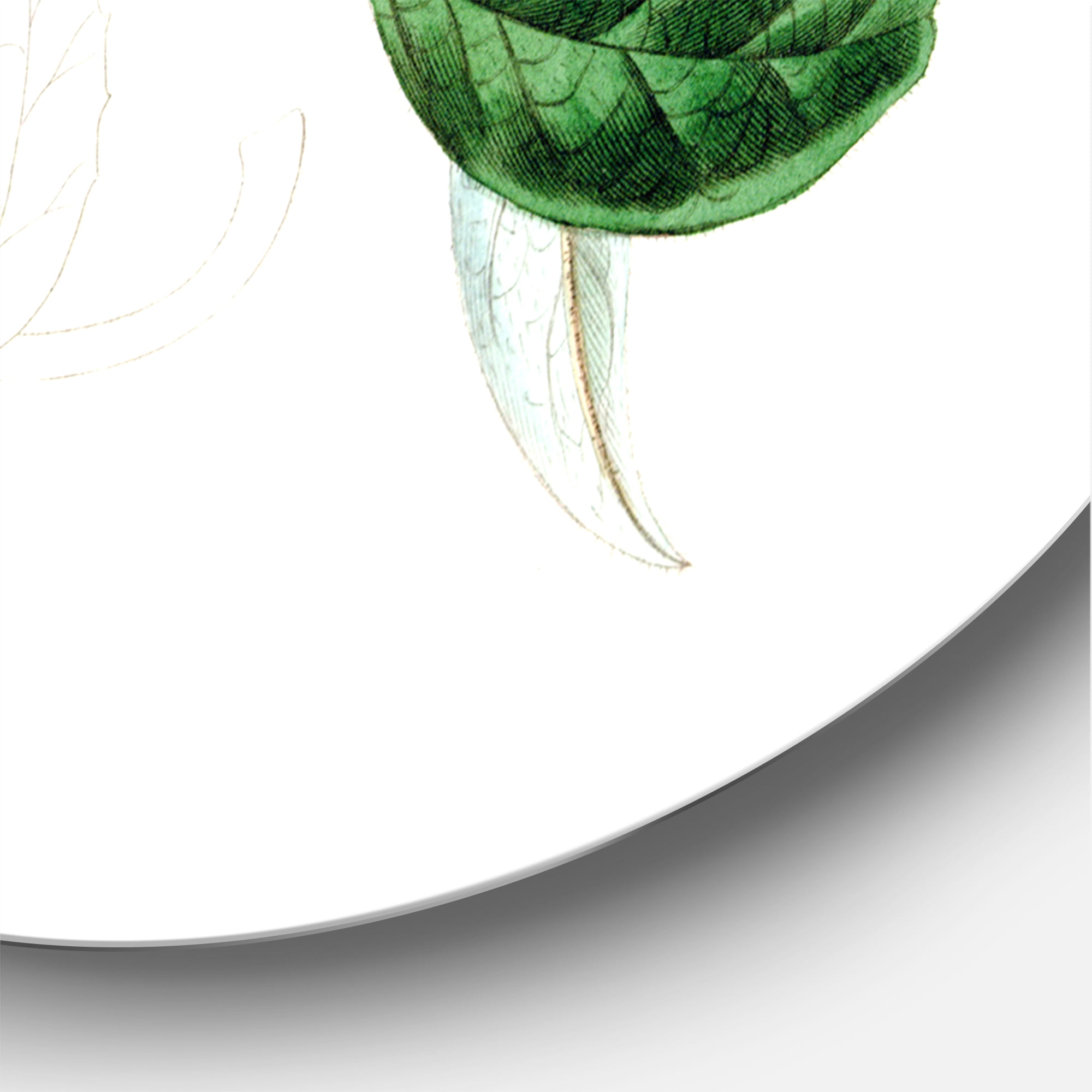 Designart 'Ancient Plant Life XXVII' Traditional Circle Metal Wall Art 36x36 - Disc of 36