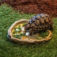 thumbnail image 3 of 30pcs Natural Mineral Block: For Tortoise Turtle Lizard Frog And Chameleon Enhances Pet Health Promotes Growth For Reptile And Amphibian Care, 3 of 4