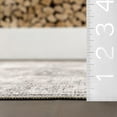 thumbnail image 6 of nuLOOM Vita SplashGuard Vintage Medallion Machine Washable Area Rug, 9' x 12', Vita Brown, 6 of 11