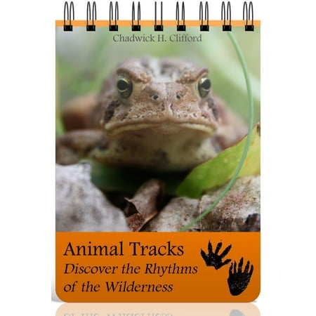 Wilderness Animal - Animal Tracks: Discover the Rhythms of the Wilderness - eBook