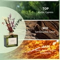 thumbnail image 2 of GAGINGOOLD Reed Diffuser Set, 6 fl oz Sandalwood Scent Diffuser, Scented Reed Diffuser with Sticks, Reed Diffusers for Home Office Decor, Home Fragrance Gift for Men & Women (Warm Sandalwood), 2 of 7