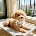 thumbnail image 2 of Cartoon Cooling Pet Bandana for Cats Dogs,Summer Ice Scarf Neck Wrap,Cute Drool Bib Scarf for Small Animals,Cooling Neck Wrap, 2 of 6