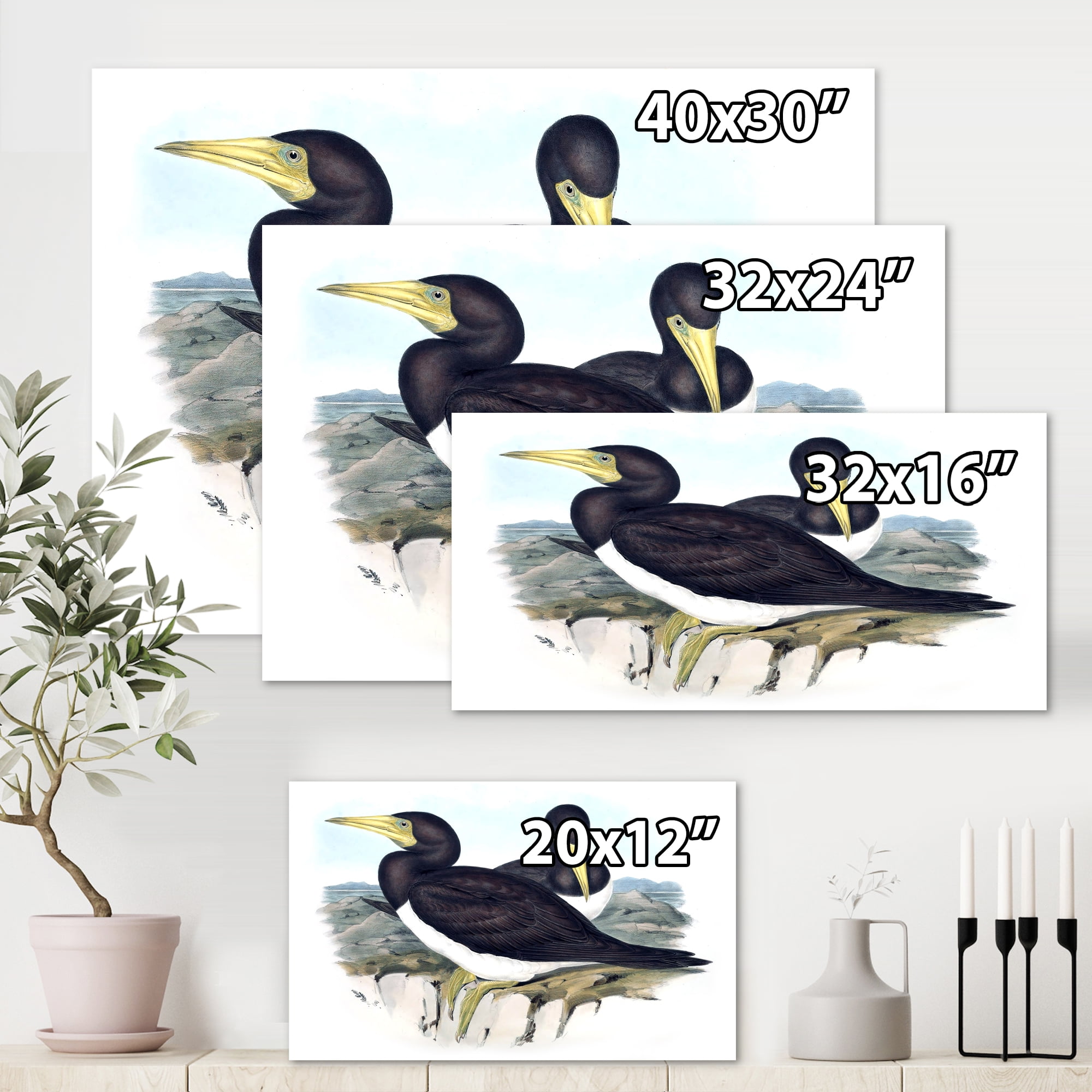 Designart ' Ancient Australian Birds XII ' Traditional Canvas Wall Art Print