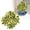 C, variant on Realistic Artificial Red Leaf Plant, Lifelike Faux Greenery for Porch, Home, or Outdoor Decor, No-Maintenance Fake Plant for Living Room or Office Arrangement