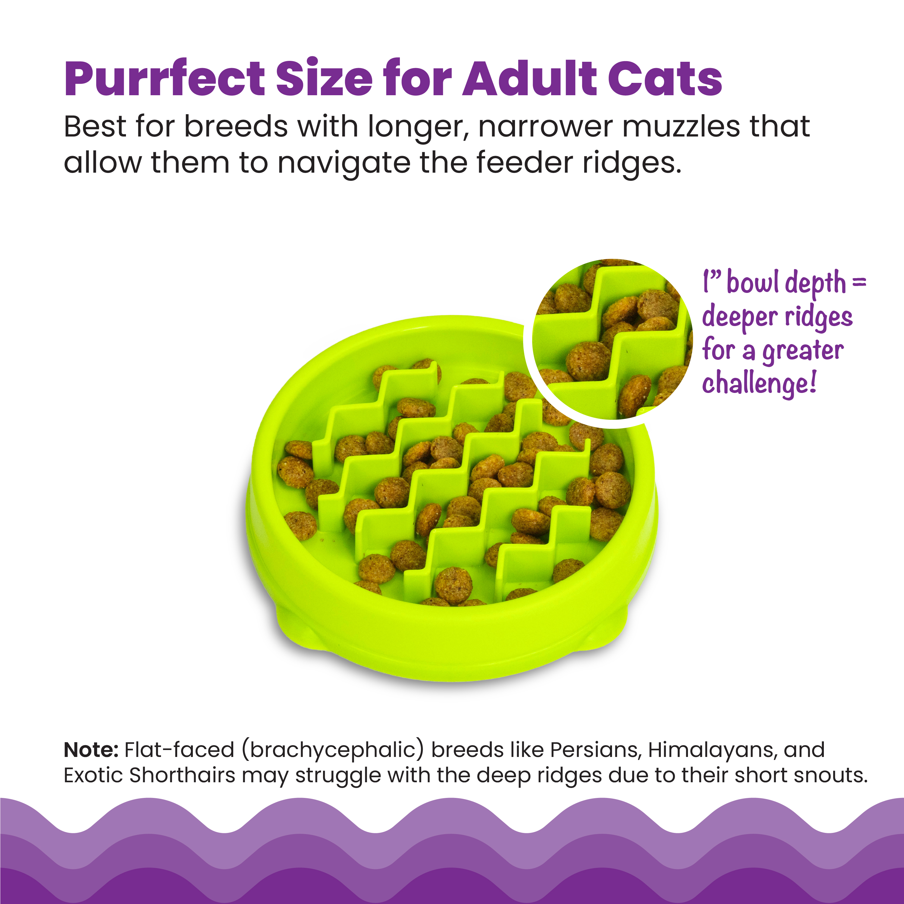 Catstages Kitty Slow Feeder Bowl, Green, 3/4 Cup photo 5