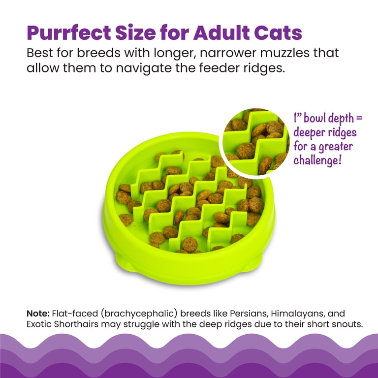 Catstages Kitty Slow Feeder Bowl for Cats & Small Dogs, Puzzle Dish for  Fast Eaters, For Wet or Dry Food, Helps Slow Eating & Aid Digestion,  Non-Slip, ...
