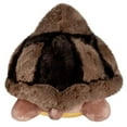 thumbnail image 3 of Squishable / Mini Tortoise Plush, 3 of 4