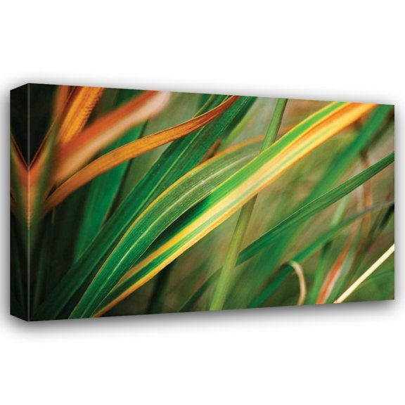 Bob Stefko 18x13 Gallery Wrapped Canvas Wall Art Titled - Grass in Fall I