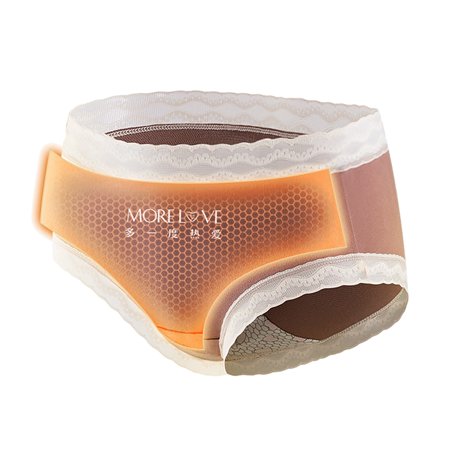 

CAICJ98 Underwear Women 2023 Cotton Panties Gift for Womens Underpants Lace Panties Underwear Panties Bikini Solid Womens Briefs Knickers A XL