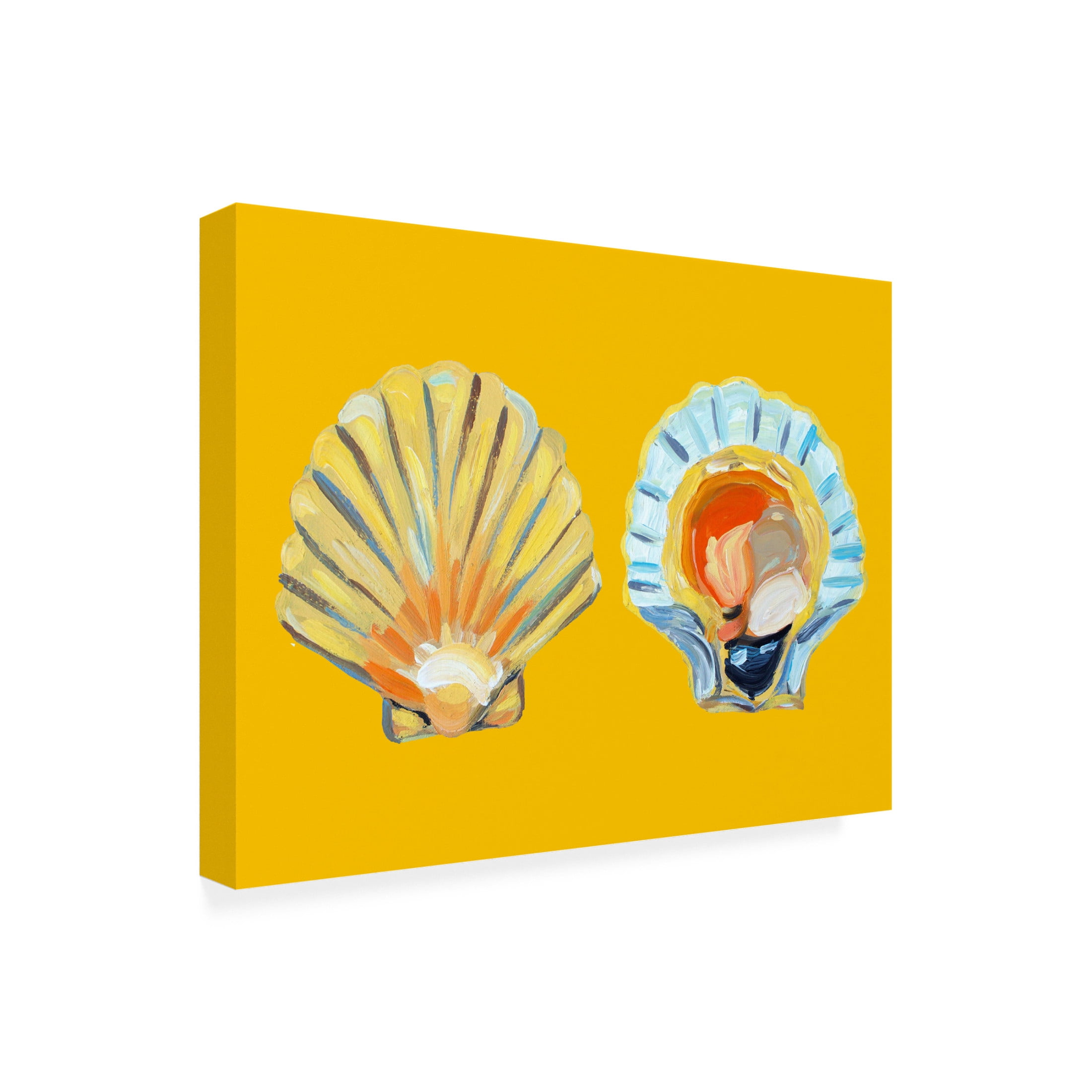 Trademark Fine Art Alice Straker   Scallops On Yellow Canvas Wall Art
