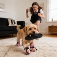 thumbnail image 4 of Monkey Design Non-Slip Soft-Soled Dog Shoes, Winter Warm Fleece-Lined Pet Boots for Small to Medium Dogs, Water-Resistant Dog Foot Covers for Indoor Outdoor Protection (Blue Fleece-Lined, 4 Shoes), 4 of 5