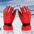 thumbnail image 4 of TERGAYEE Ski Gloves,Waterproof Snow Gloves,Winter Gloves for Cold Weather manipulatescreen Snowboard Gloves Warm for Men Women, 4 of 5
