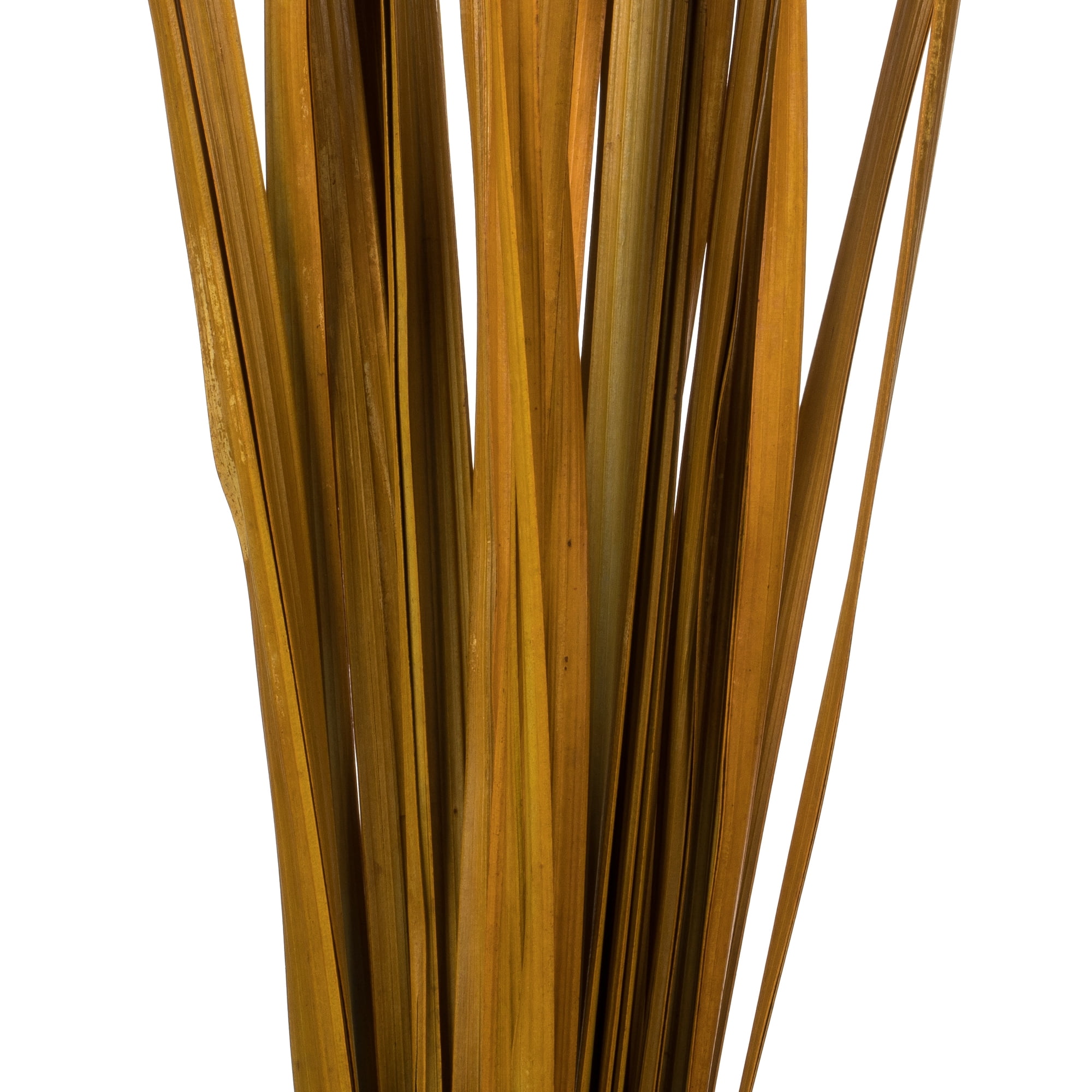 Vickerman 36-40" Aspen Gold Sable Grass, 7 oz Bundle, Dried