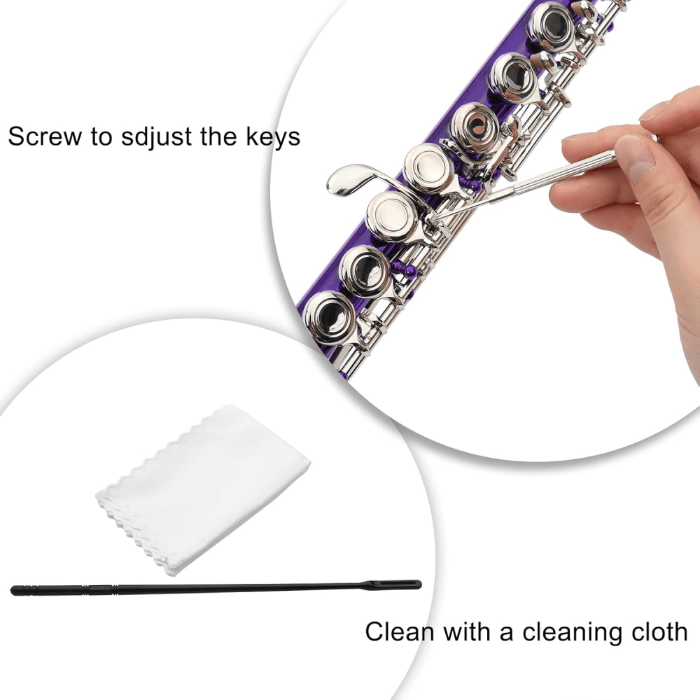 Tcbosik C Flute Closed Hole 16 Keys for Beginners with Case, Cloth, Screwdriver, Lubricant and Cleaning Rod, Purple