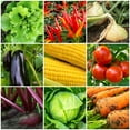thumbnail image 4 of The Old Farmer's Almanac Organic Tomato & Vegetable Plant Food, 8-4-8 Granular Fertilizer 2.25 lb, 4 of 8