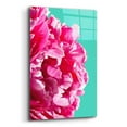 thumbnail image 2 of Epic Art 'Pink Peony' by Lexie Greer, 12"x16", 2 of 8