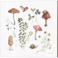 thumbnail image 2 of Great Art Now Forest Treasures by Lisa Audit 2 Piece Canvas Art Set Each 14"W x 14"H, 2 of 3