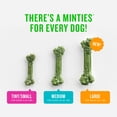 thumbnail image 4 of Minties Dental Chews for Dogs, Vet-Recommended Mint-Flavored Dental Dog Treats, Fight Bad Breath, Removes Plaque and Tartar, 1ct, 4 of 6