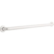 Safety First 1-1/2" Diameter Concealed Mount Grab Bar