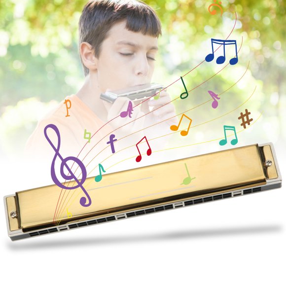 24 Hole Harmonica, Clear Pronunciation 24 Hole Tremolo Harmonica, for Music Performance Music Enthusiast Gold E Key