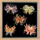 thumbnail image 4 of Puzzle de metal 3D MU Flower and Butterfly C modelo Cuiqiao, 4 of 9